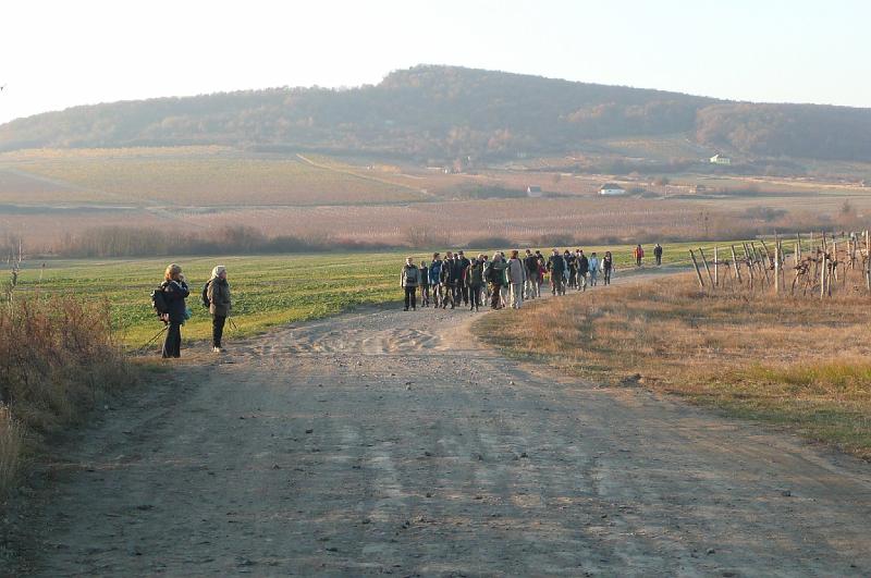 2011.11.12._184.jpg