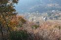 2011.11.12._051