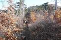 2011.11.12._081