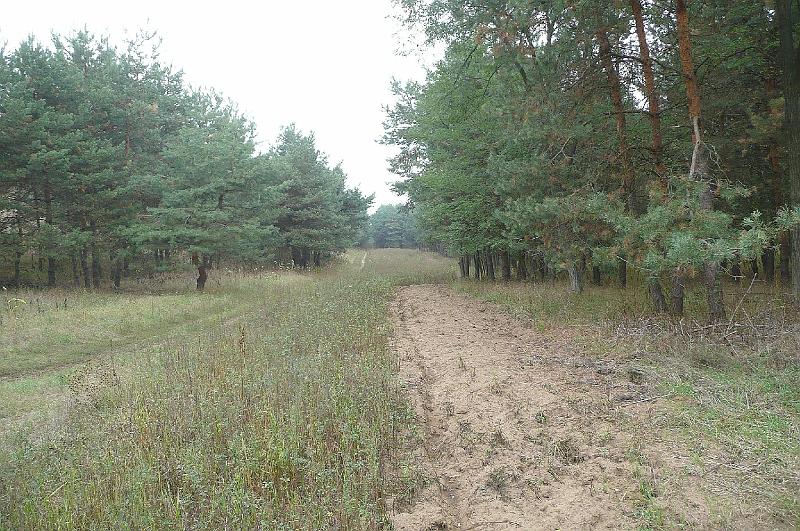 2012.08.11.105.jpg