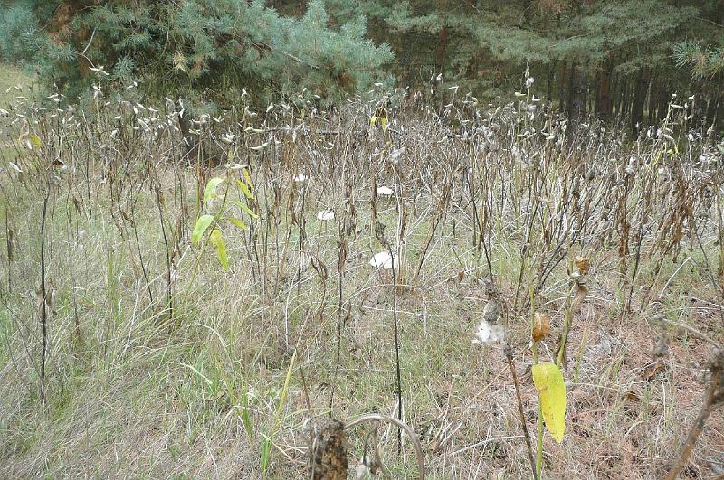 2012.08.11.110.jpg