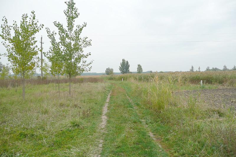 2012.08.11.254.jpg