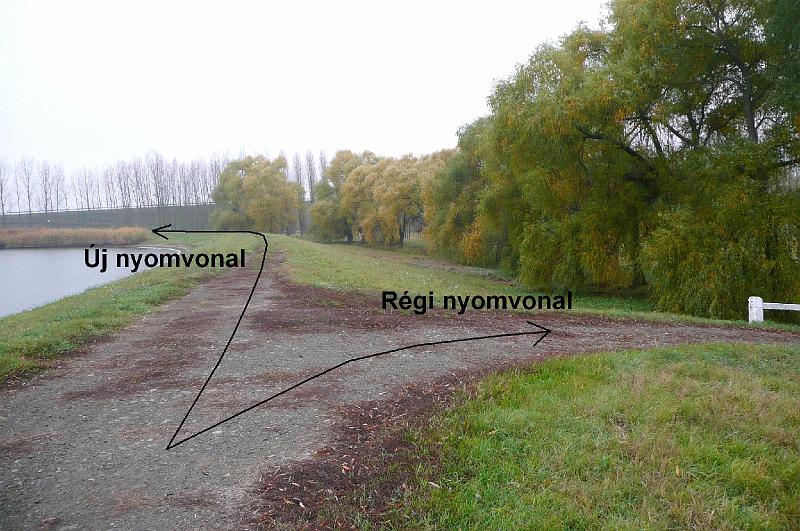 birke_02.jpg
