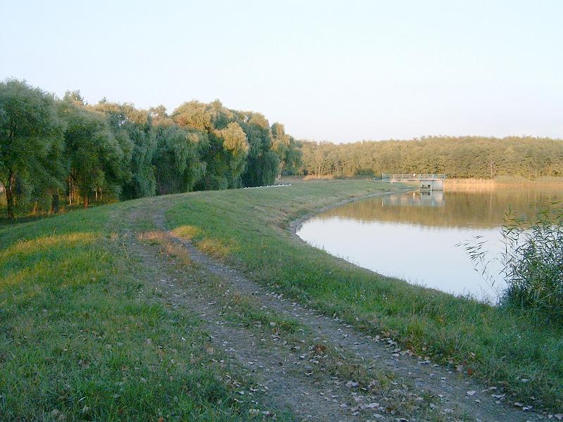 birke_04b.jpg