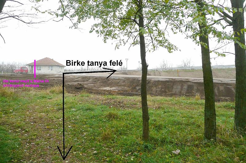 birke_10.jpg