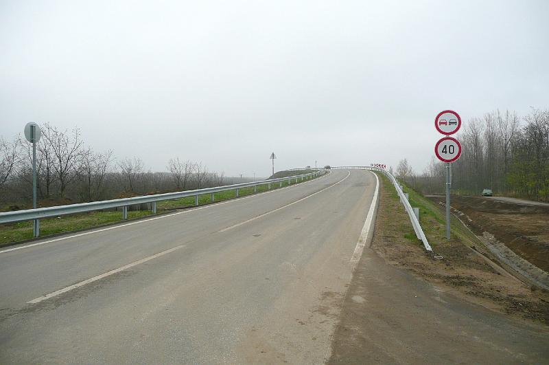 birke_11.jpg