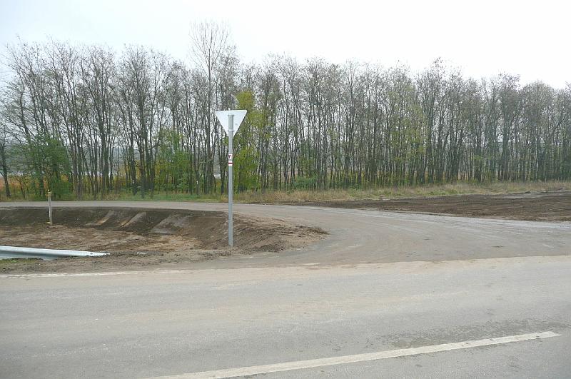 birke_15.jpg