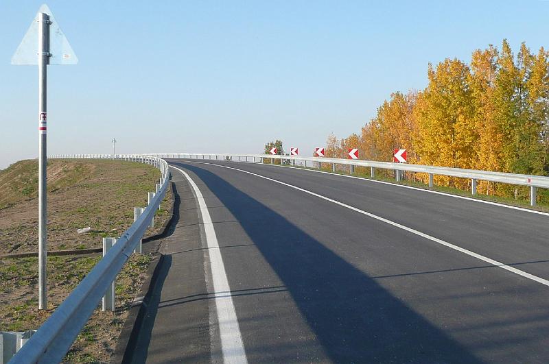 birke_22.jpg