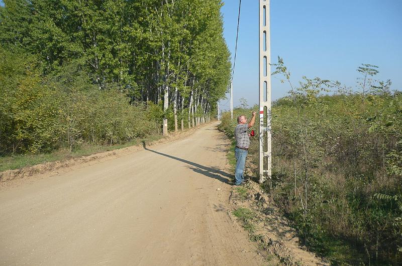 birke_56.jpg