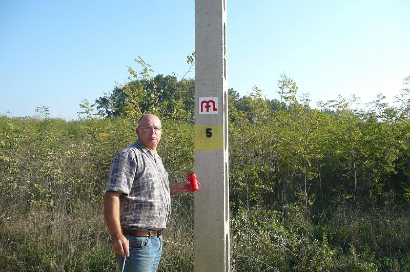 birke_59.jpg