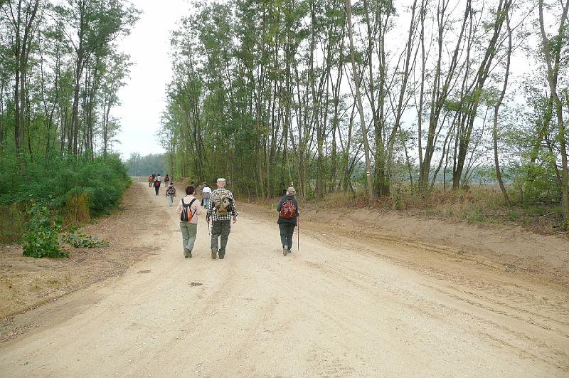 harangodi_erdo_001.jpg
