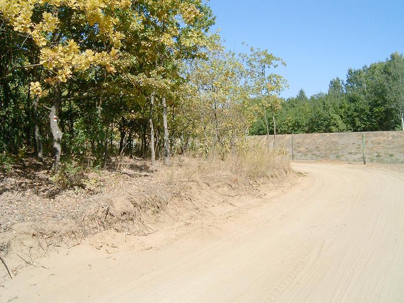 harangodi_erdo_012a.jpg