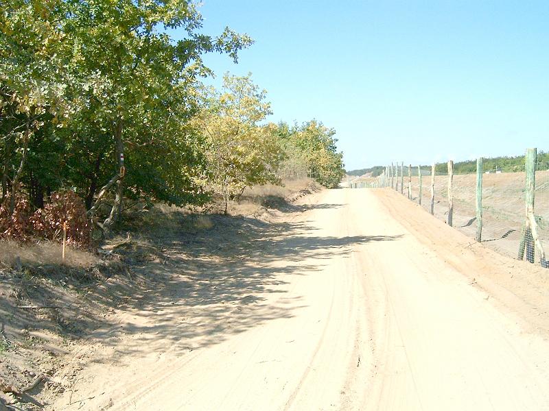 harangodi_erdo_012bb.jpg