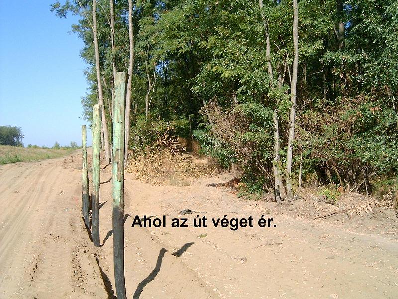 harangodi_erdoben_megszuntetve_16.jpg