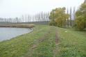 birke_03