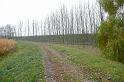 birke_04