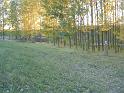 birke_04a