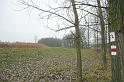 birke_05