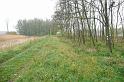 birke_06