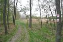 birke_08