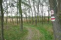 birke_09