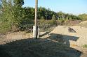 birke_28