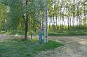 birke_33