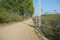 birke_56