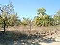 harangodi_erdo_012ee