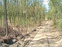 harangodi_erdo_021