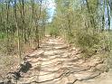 harangodi_erdo_022