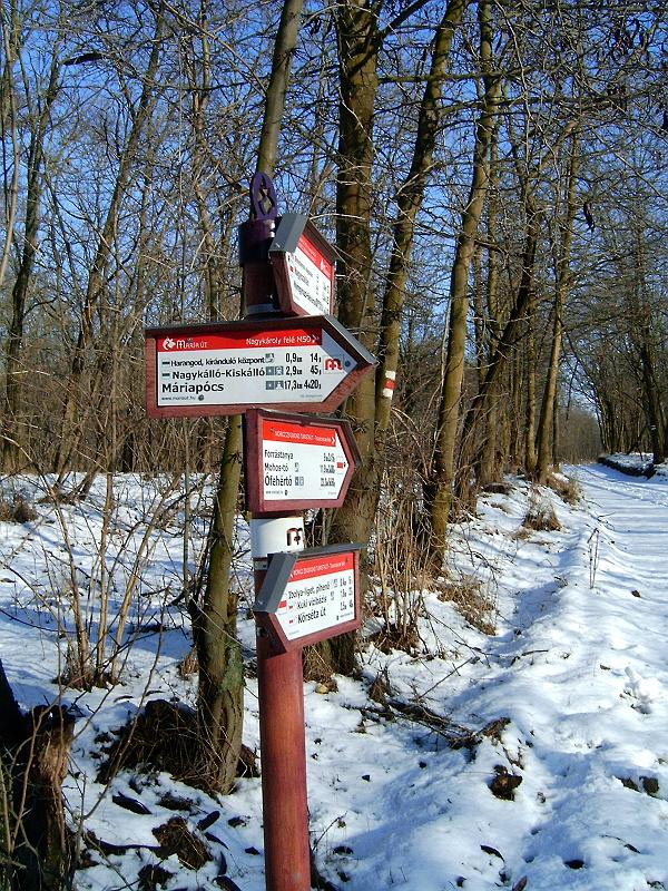 pince_piheno_012.jpg