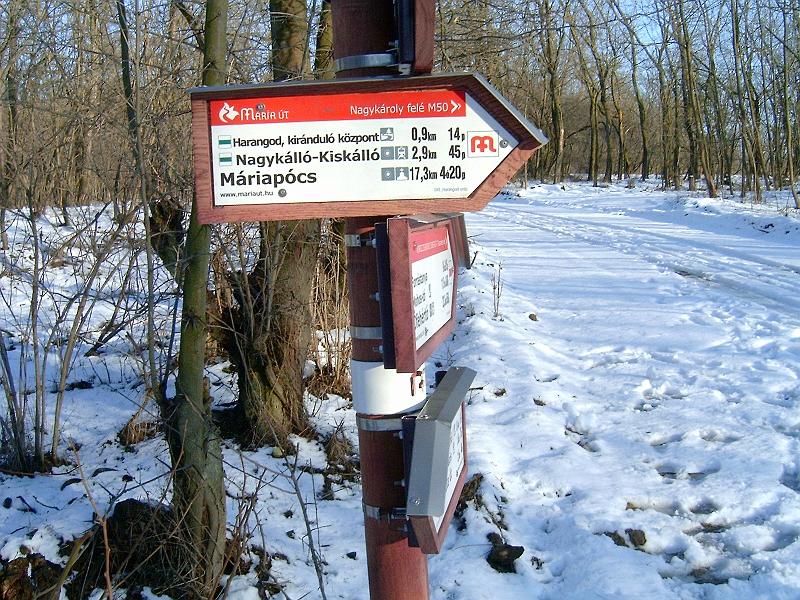 pince_piheno_013.jpg