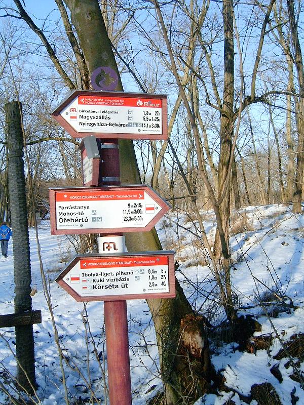 pince_piheno_014.jpg