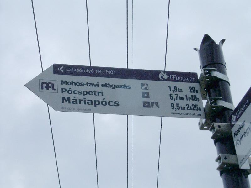 ujszolloskert006.jpg