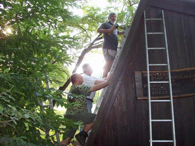 2009.08.16.010.jpg