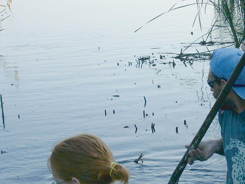 2010.07.23.020.jpg