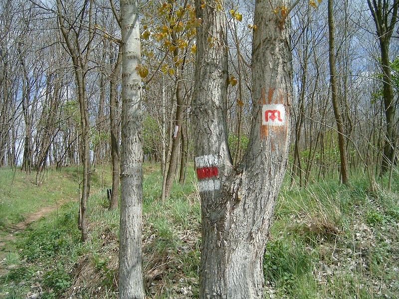 2012.14.22._052.jpg