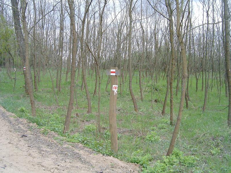 2012.14.22._066.jpg