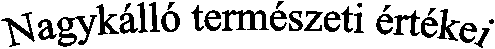 Nagyk�ll� term�szeti �rt�kei